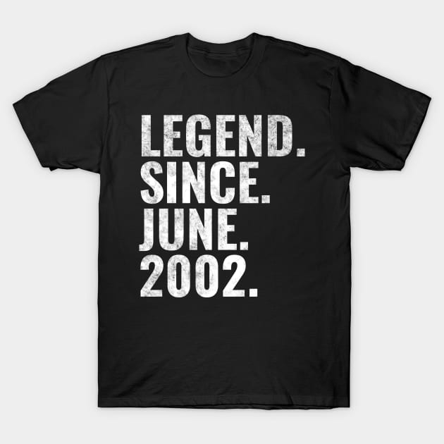 Legend since June 2002 Birthday Shirt Happy Birthday Shirts T-Shirt by TeeLogic